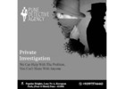 Expert Investigative Solutions at Pune Detective Agency