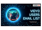 How can Vidyo Users Email List assist marketers in achieving ROI in their marketing efforts?