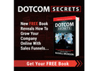 "NEW FREE BOOK SHOWS 28 VIRTUALLY UNKNOWN SECRETS"